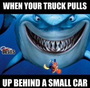 When your truck pulls up behind a small car; cars are friends, not food. | K&J Trucking